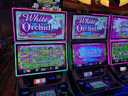 Artikel aturan blackjack dan roulette juraganmain